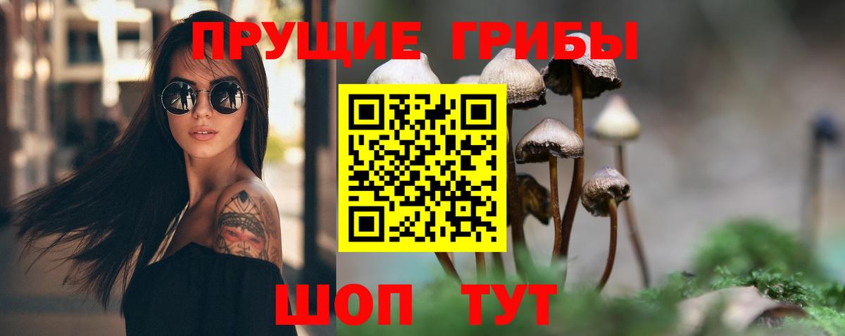 Галлюциногенные грибы мухоморы  Галлюциногенные грибы Psilocybine cubensis  Вход с VPN  Удомля 